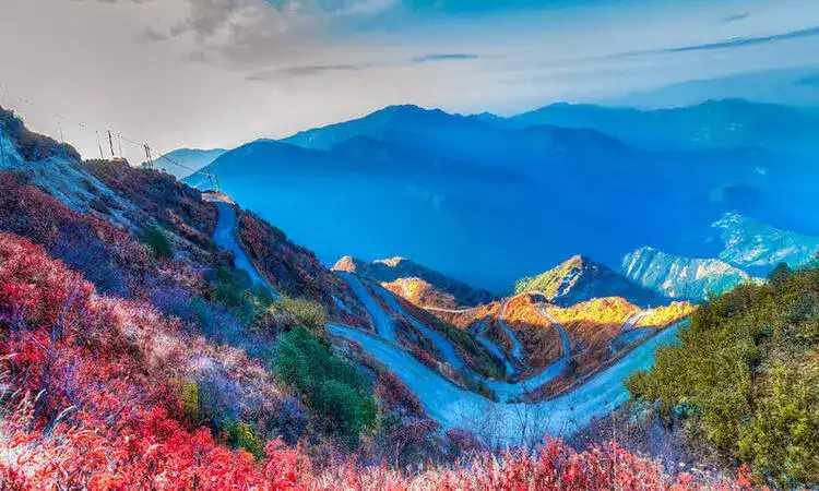 Innovative Tours & Travels